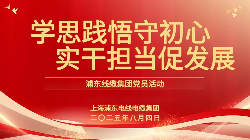 黨員活動(dòng) | 浦東線(xiàn)纜集團(tuán)：學(xué)思踐悟守初心，實(shí)干擔(dān)當(dāng)促發(fā)展